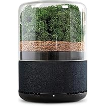 Amazon.co.jp: BRIIV (ブリーヴ) 英国発の自然派エコ空気清浄機 コケ